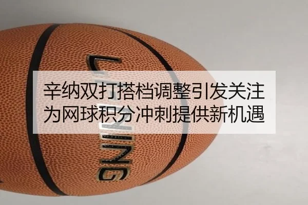 xin-na-shuang-da-da-dang-tiao-zheng-yin-fa-guan-zhu-wei-wang-qiu-ji-fen-chong-ci-ti-gong-xin-ji-yu-2-381.jpg