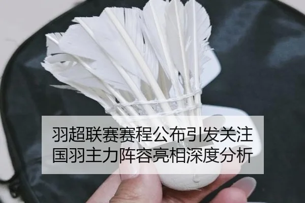 yu-chao-lian-sai-sai-cheng-gong-bu-yin-fa-guan-zhu-guo-yu-zhu-li-zhen-rong-liang-xiang-shen-du-fen-xi-2-479.jpg